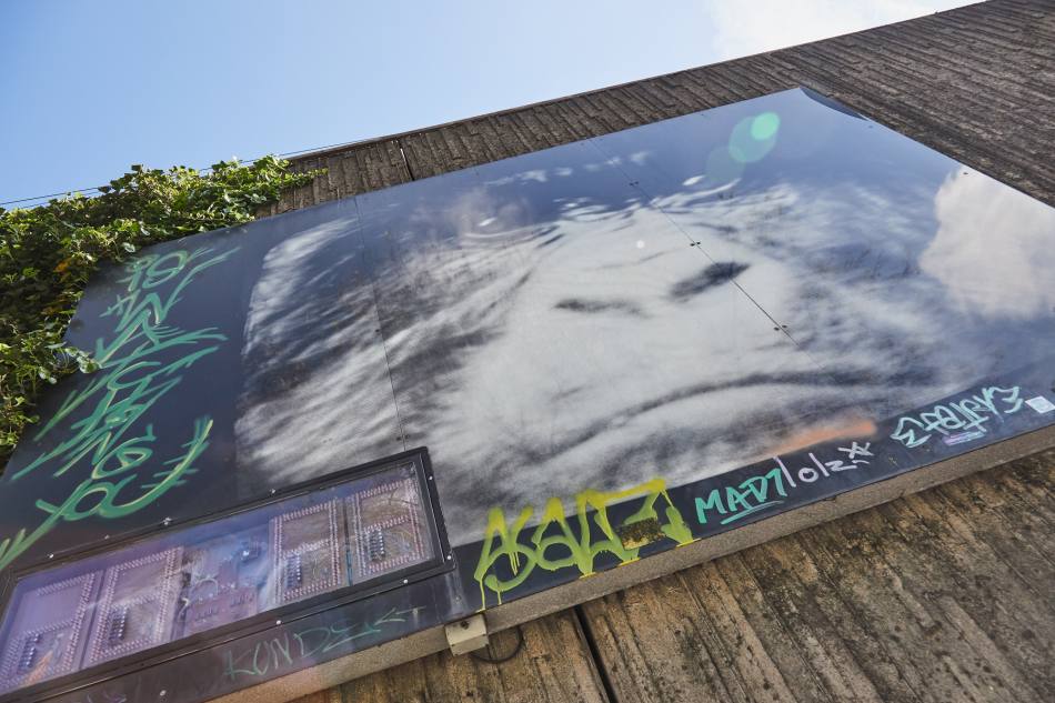 An einer Mauer hängt ein großes Wandbild, das das Gesicht eines Menschenaffen aus nächster Nähe zeigt. Es ist ein Schwarzweißfoto, das von einem schwarzen Rahmen umgeben ist. Unten links im Bild ist eine elektrische Uhr. Darüber ist ein grünes Graffiti.